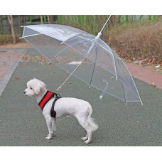 Зонт трость для животных